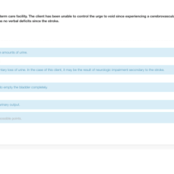 Urinary patterns hesi case study