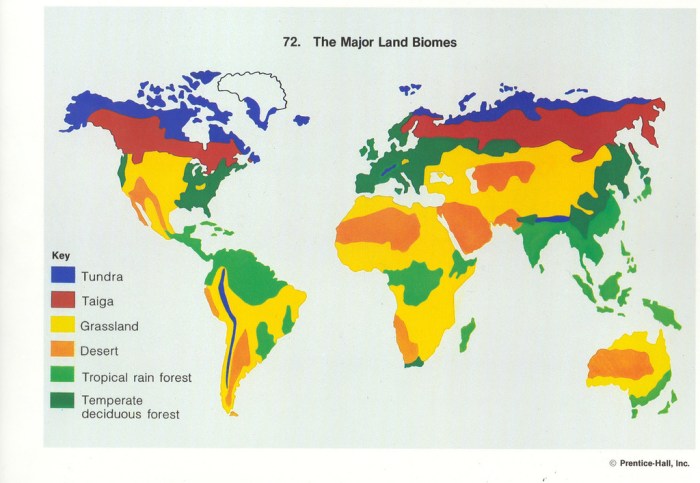 Color the north american biomes