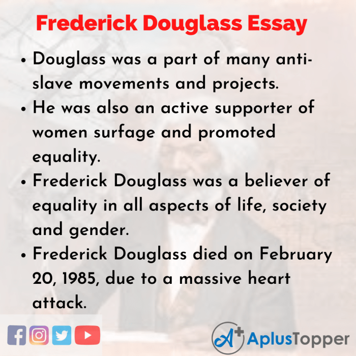 Frederick douglass chapter 7 summary