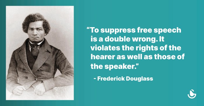 Frederick douglass chapter 7 summary