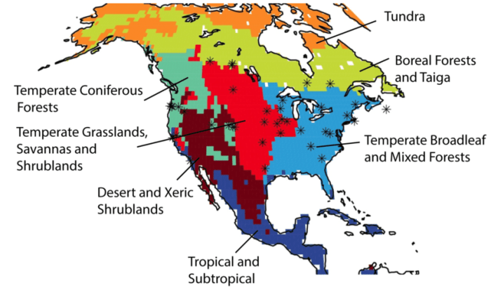 Color the north american biomes