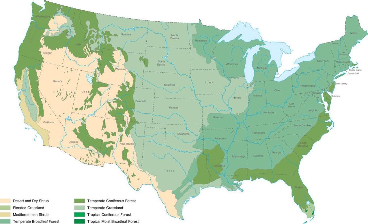 Color the north american biomes