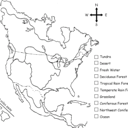 Color the north american biomes