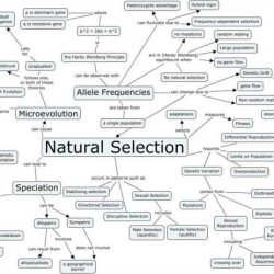 Pogil population growth answer key