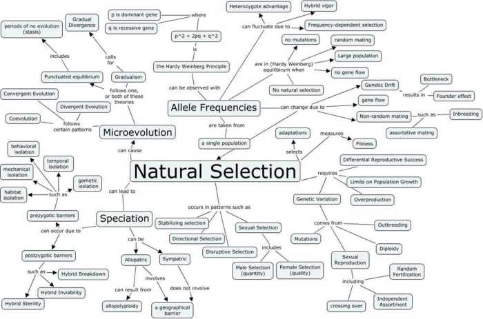 Pogil population growth answer key