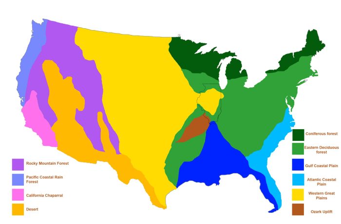 Color the north american biomes