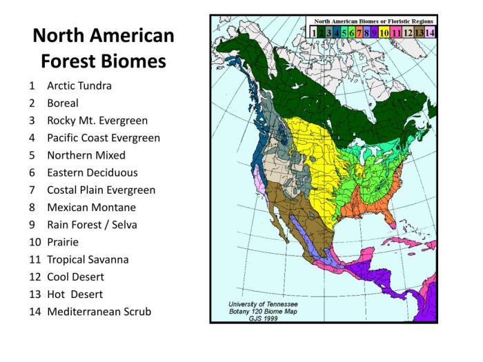 Color the north american biomes