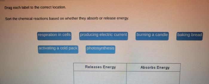 Sort the sentences based on whether they contain an infinitive