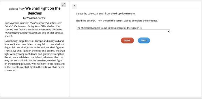 Excerpt from the brooklyn bridge answer key