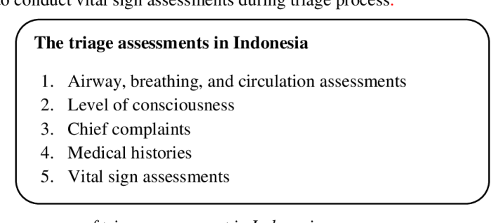 Focus on delegating prioritizing triage disaster