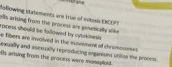 All of the following statements are true about mitosis except