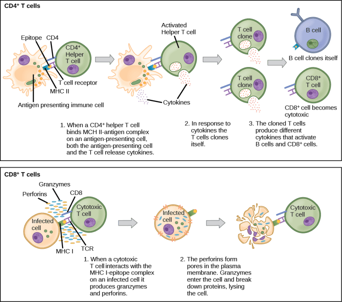 Select the statements that accurately describe antigens