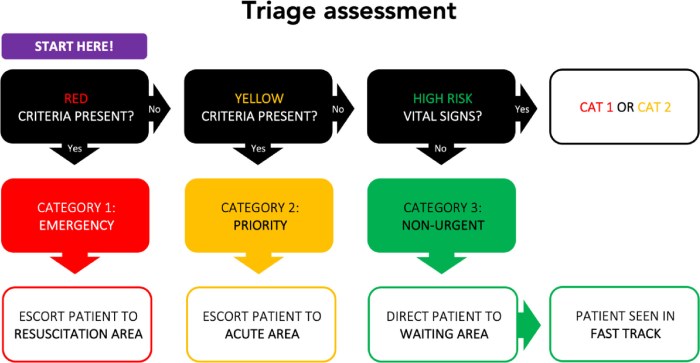 Focus on delegating prioritizing triage disaster